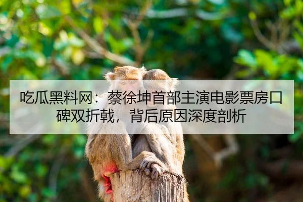 chi-gua-hei-liao-wang-cai-xu-kun-shou-bu-zhu-yan-dian-ying-piao-fang-kou-bei-shuang-zhe-ji-bei-hou-yuan-yin-shen-du-pou-2-329.jpg