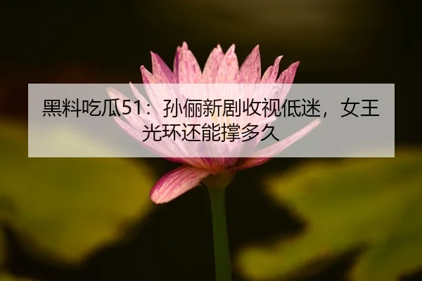 hei-liao-chi-gua-sun-li-xin-ju-shou-shi-di-mi-nv-wang-guang-huan-hai-neng-cheng-duo-jiu-2-162.jpg